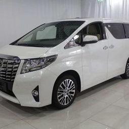 国产全新保姆车视频网站