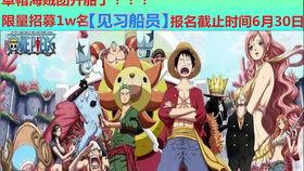 国产海贼王测评视频在线观看,还原经典，国产动画新篇章