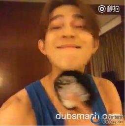 《国产自拍视频,探索本土短视频文化的魅力与创新