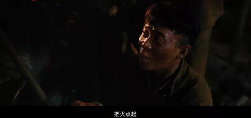 国产灭鼠电影推荐大全视频,惊悚刺激，揭秘鼠患危机