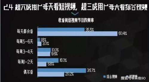 视频分类国产 日,聚焦本土创意与魅力