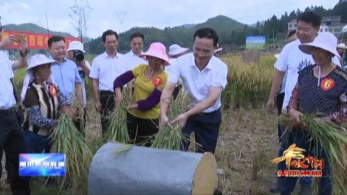 国产农民视频,国产农民生活画卷
