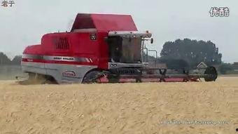 国产收割机作业视频欣赏,高效农业机械化新篇章