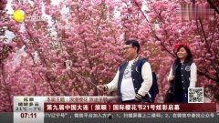 樱花在线观看视频国产,樱花在线观看，共赏国产影视盛宴