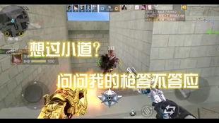 国产双管齐开视频,创新科技与多元发展的完美融合